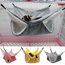 Pet Ferret Rat Squirrel Bird