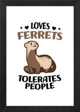 Ferret Lover Ferrets Gifts