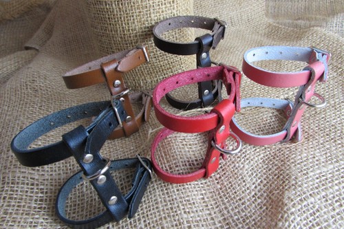 Ferret harness real - harness, in