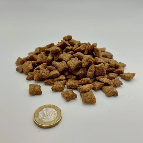 10kg complete ferret - ferret, &