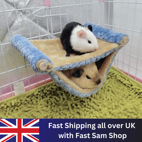 Ferret rat squirrel pet - ferret,