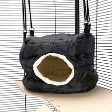 Ferret Chinchilla Huge