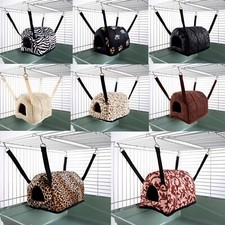 Ferret Chinchilla Rat Rabbit