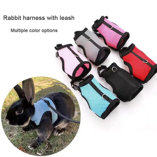 Harness with leash set - leash, for