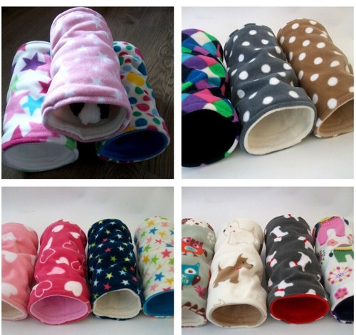 Designs guinea pig - ,