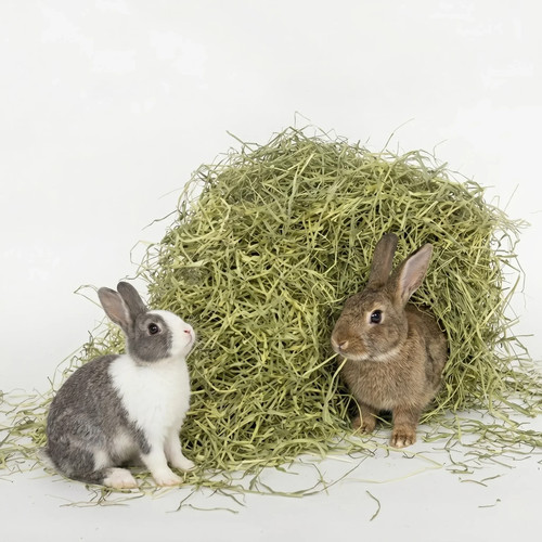 Timothy hay for rabbits - timothy, &