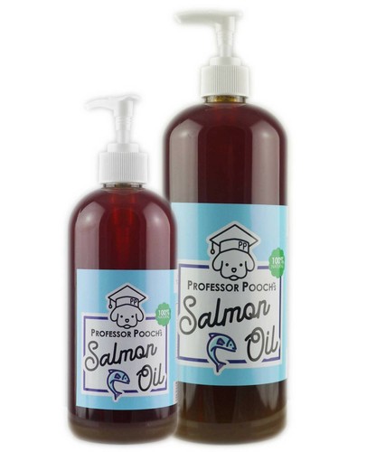 Salmon oil for dogs - salmon,